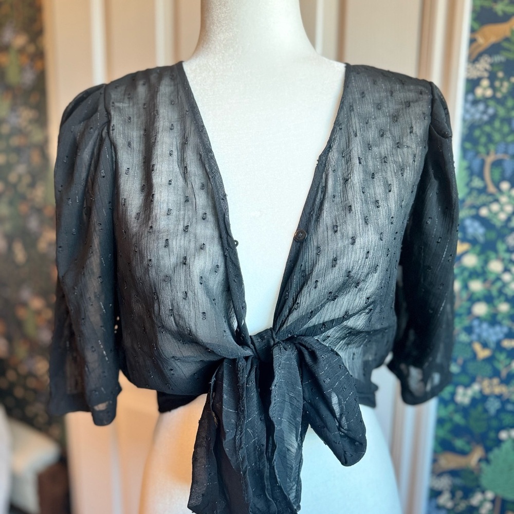 SOFIA by ViX Black Sheer Tie-Front Blouse